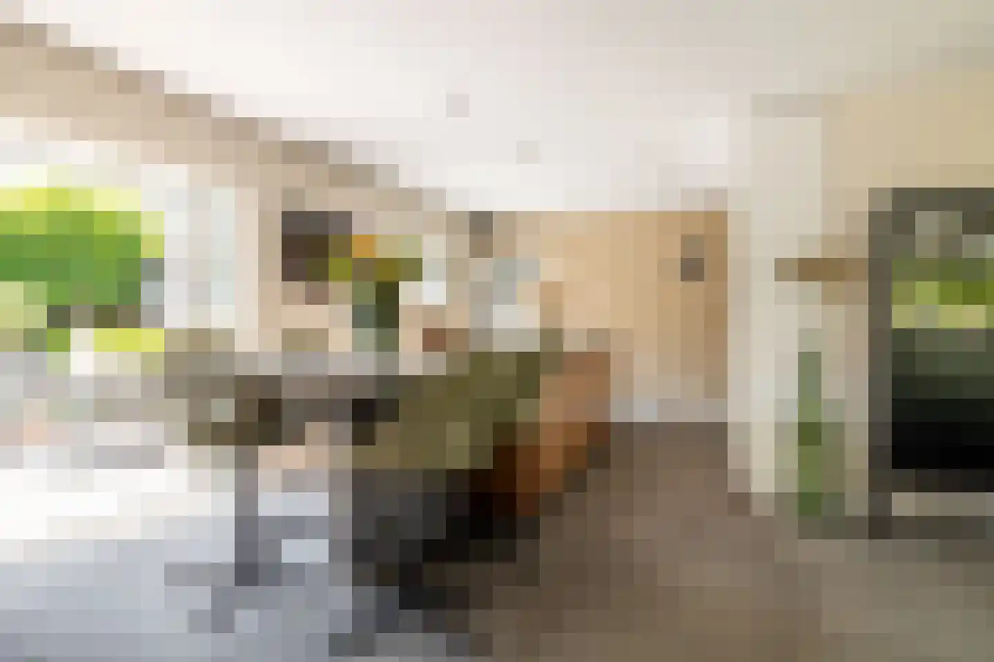 Leeuwkesdries 10 Galder thumbnail 18
