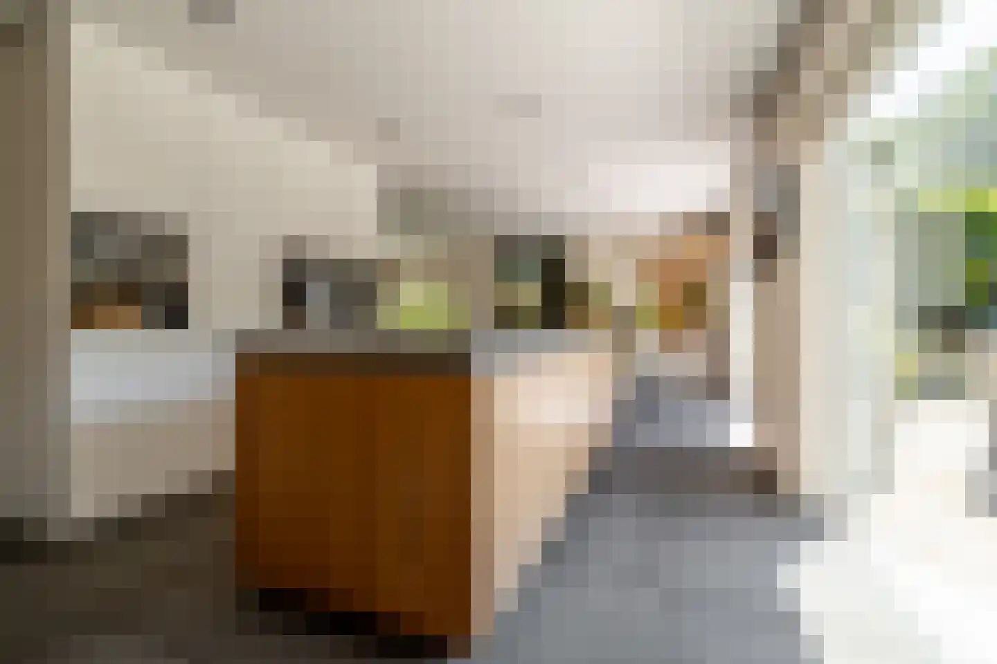 Leeuwkesdries 10 Galder thumbnail 20