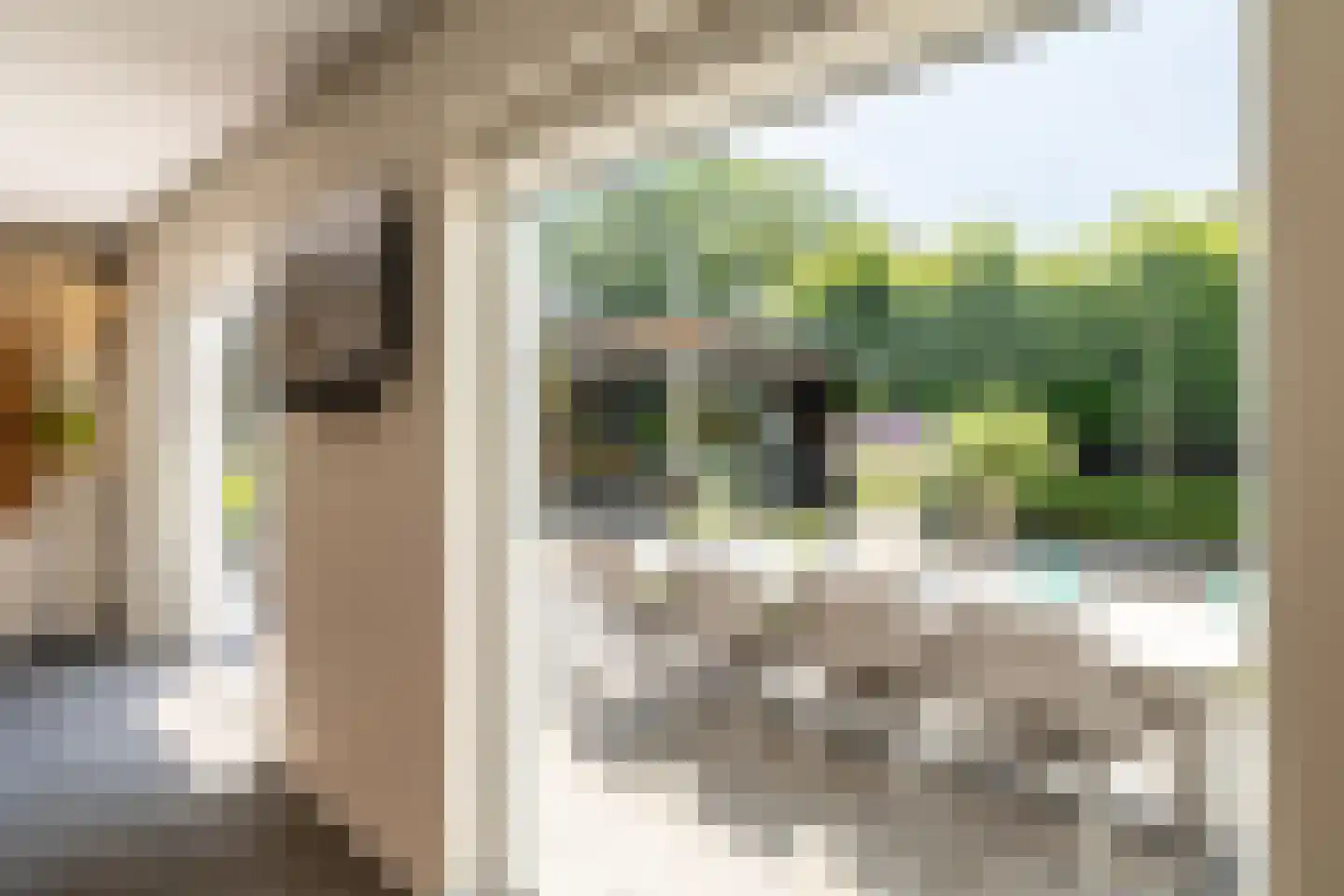 Leeuwkesdries 10 Galder thumbnail 21