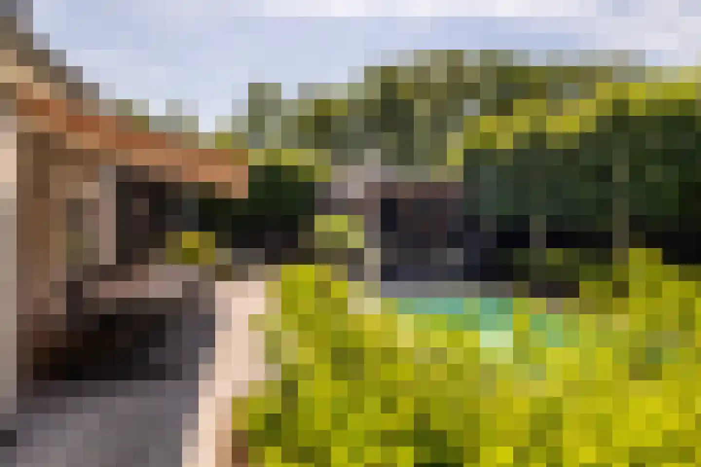 Leeuwkesdries 10 Galder thumbnail 32