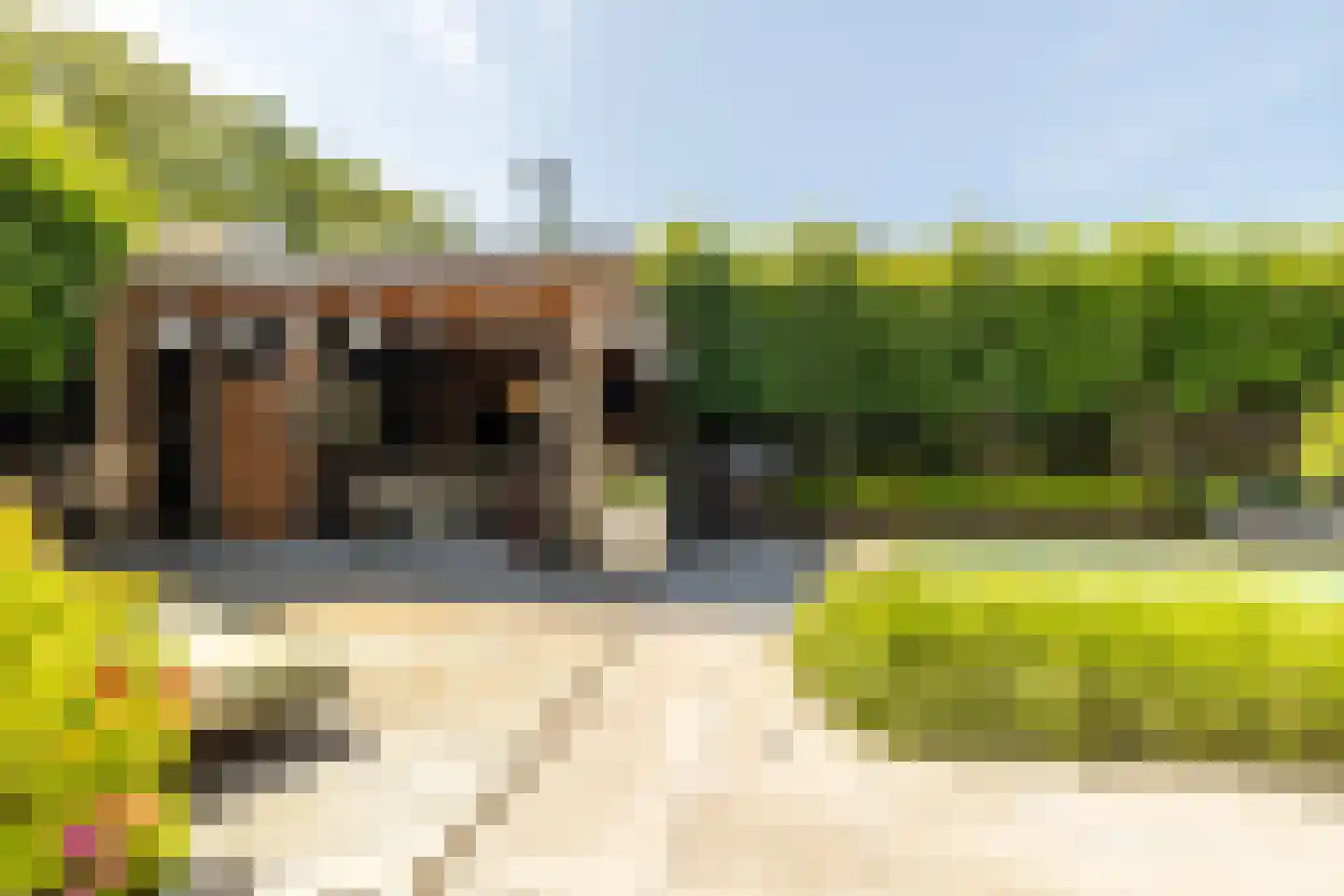 Leeuwkesdries 10 Galder thumbnail 35
