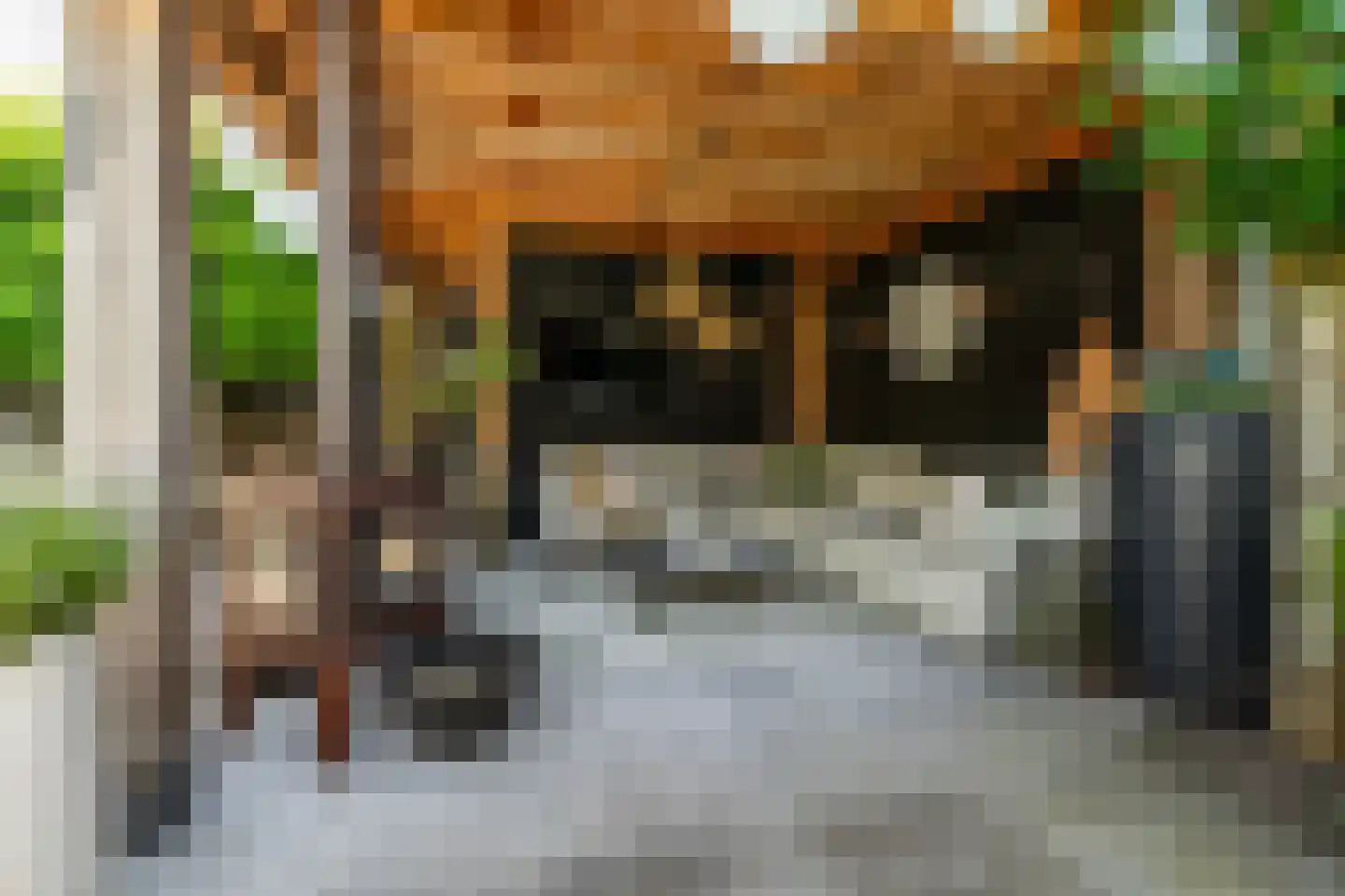 Leeuwkesdries 10 Galder thumbnail 36