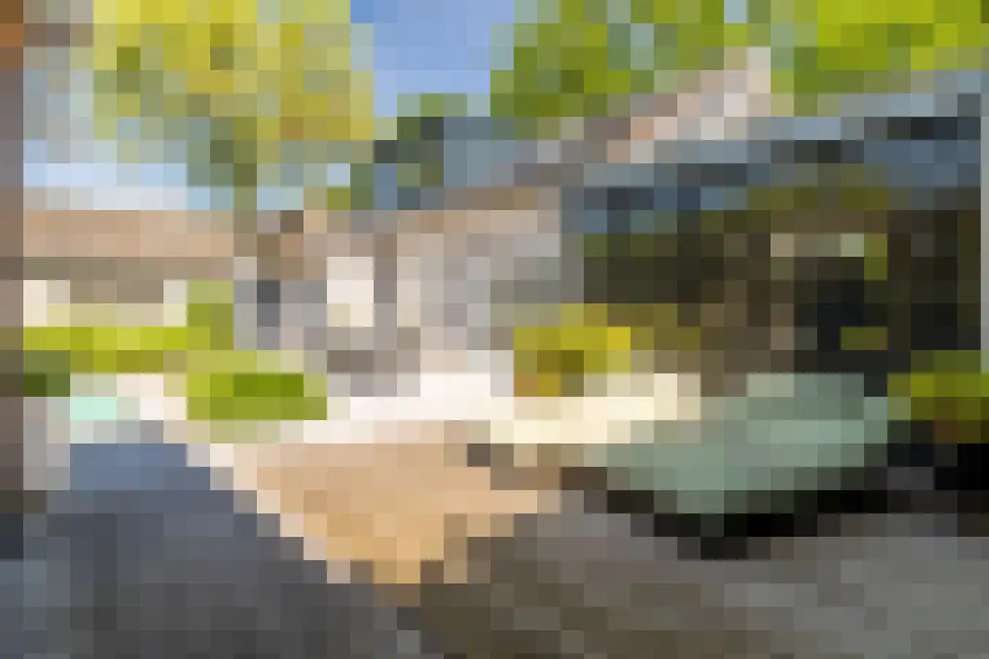 Leeuwkesdries 10 Galder thumbnail 38