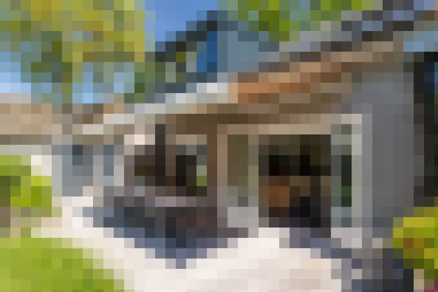 Leeuwkesdries 10 Galder thumbnail 39