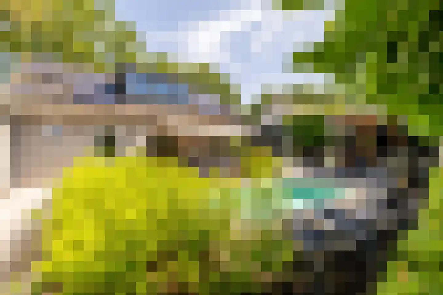 Leeuwkesdries 10 Galder thumbnail 40