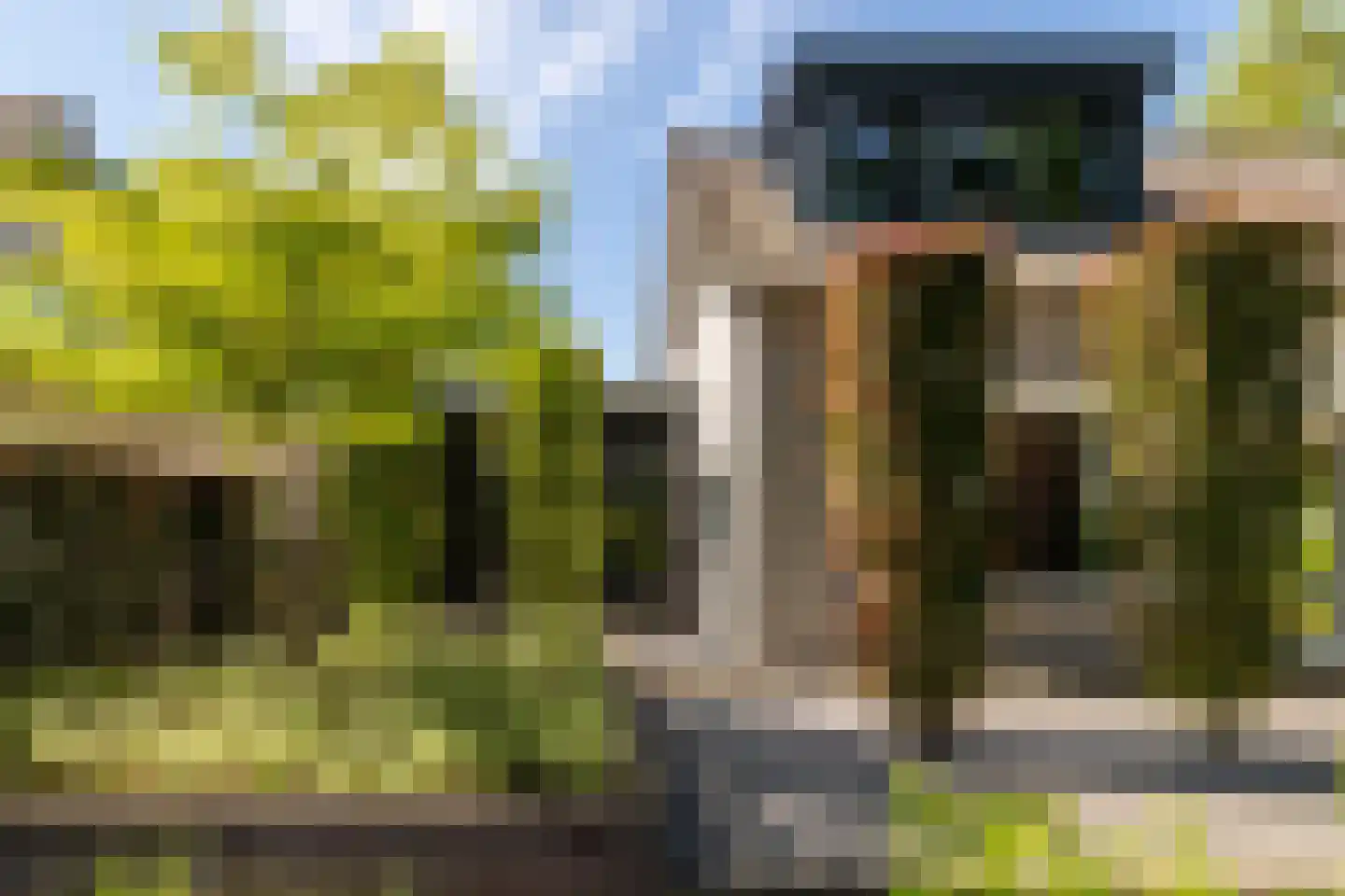Leeuwkesdries 10 Galder thumbnail 43