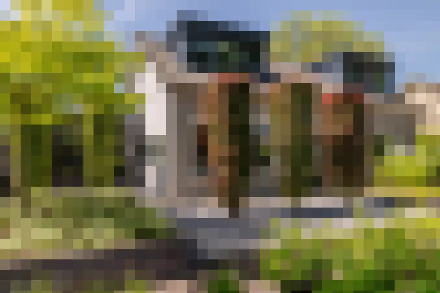Leeuwkesdries 10 Galder thumbnail 44