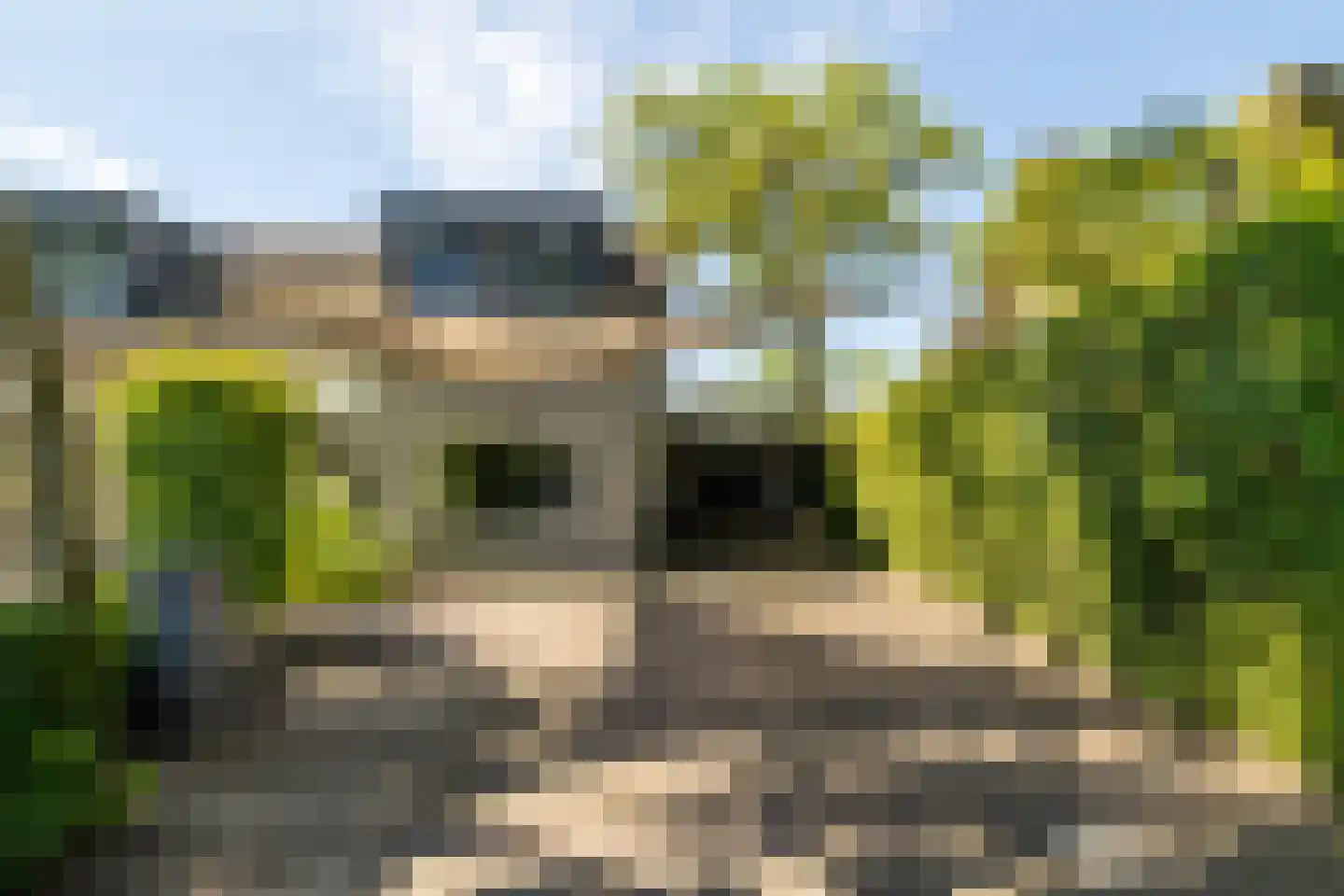 Leeuwkesdries 10 Galder thumbnail 45