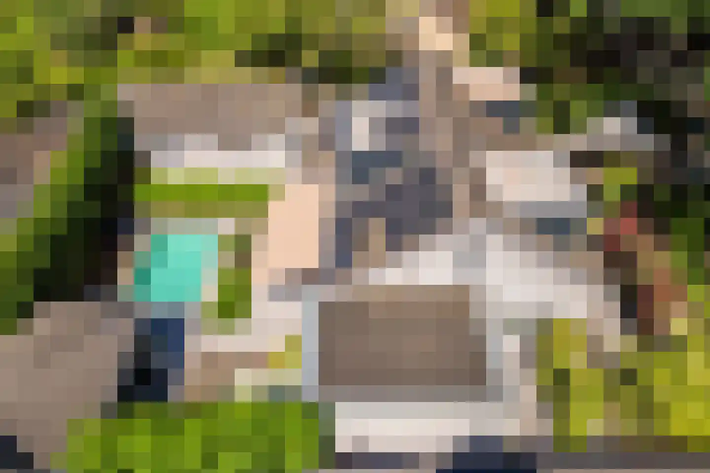 Leeuwkesdries 10 Galder thumbnail 48
