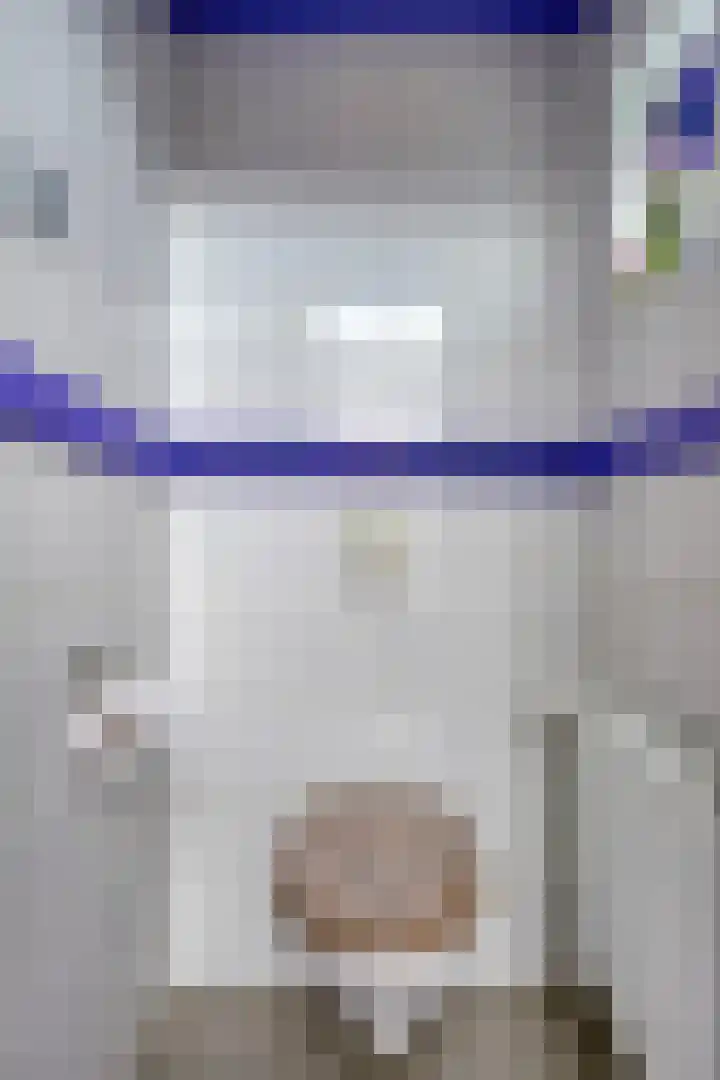 Leeuwstraat 11 Halsteren thumbnail 10
