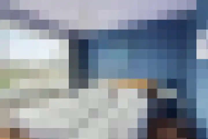 Leeuwstraat 11 Halsteren thumbnail 13