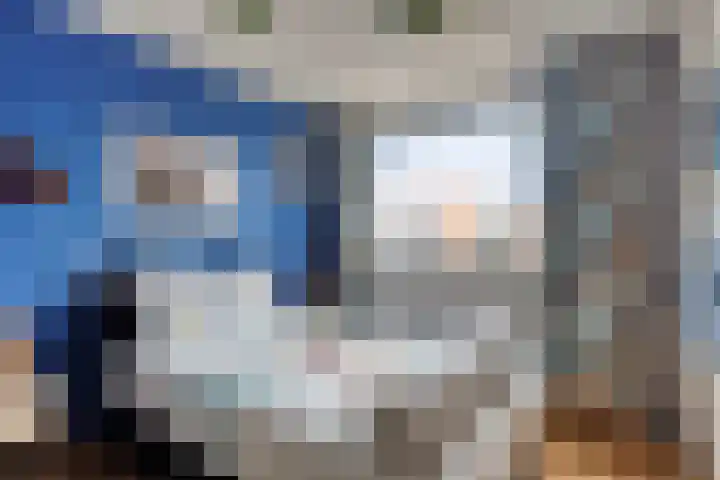 Leeuwstraat 11 Halsteren thumbnail 15