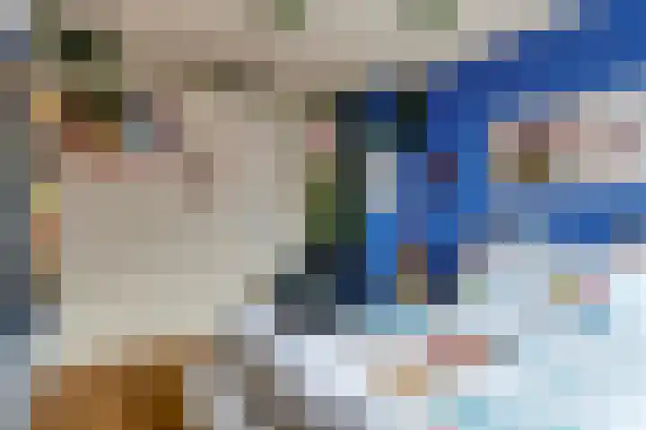 Leeuwstraat 11 Halsteren thumbnail 16