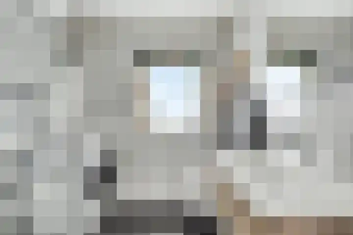 Leeuwstraat 11 Halsteren thumbnail 19