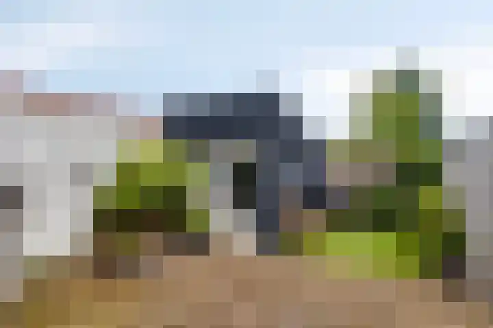 Leeuwstraat 11 Halsteren thumbnail 20
