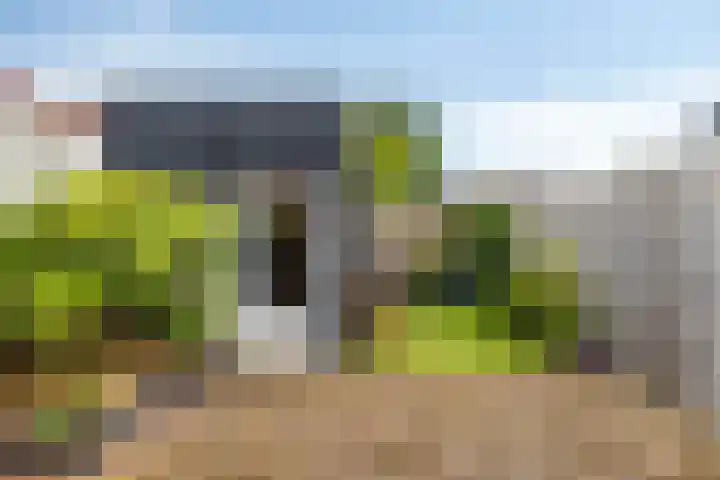 Leeuwstraat 11 Halsteren thumbnail 21