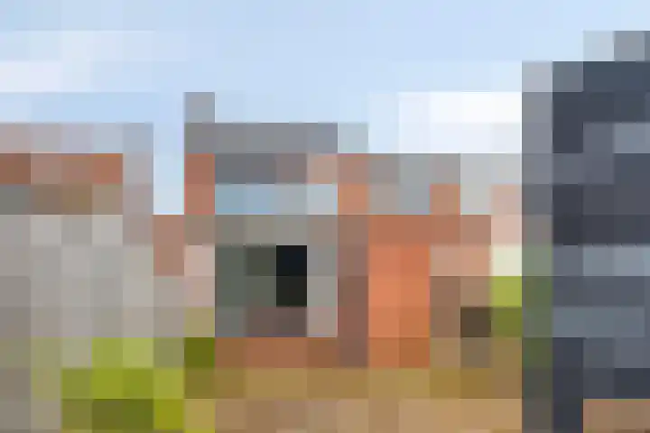 Leeuwstraat 11 Halsteren thumbnail 22