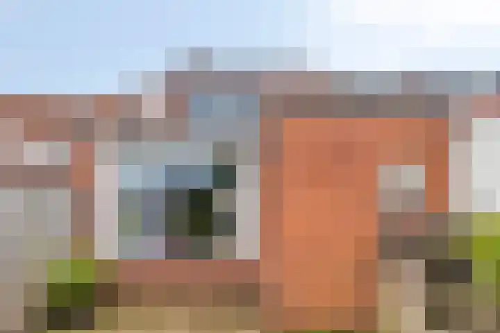 Leeuwstraat 11 Halsteren thumbnail 23