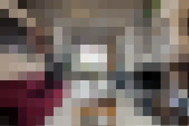 Leeuwstraat 11 Halsteren thumbnail 5
