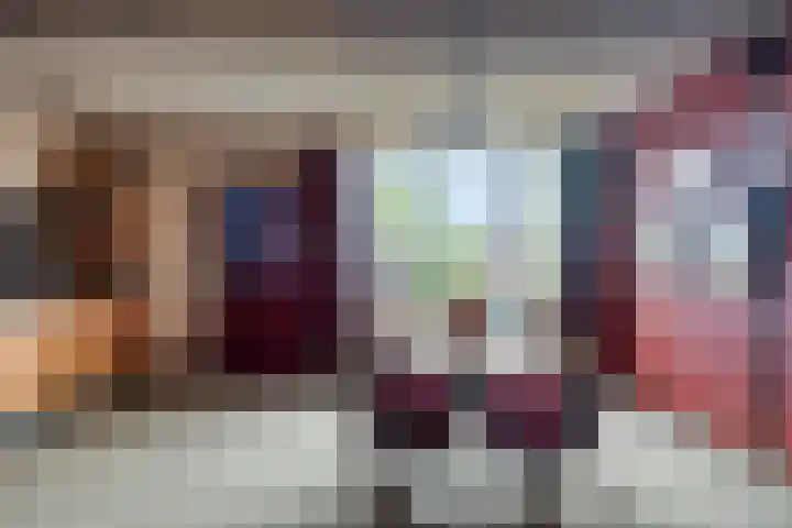 Leeuwstraat 11 Halsteren thumbnail 9