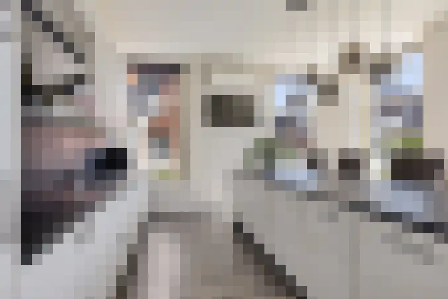 Leeuwstraat 11 Uithuizen thumbnail 13
