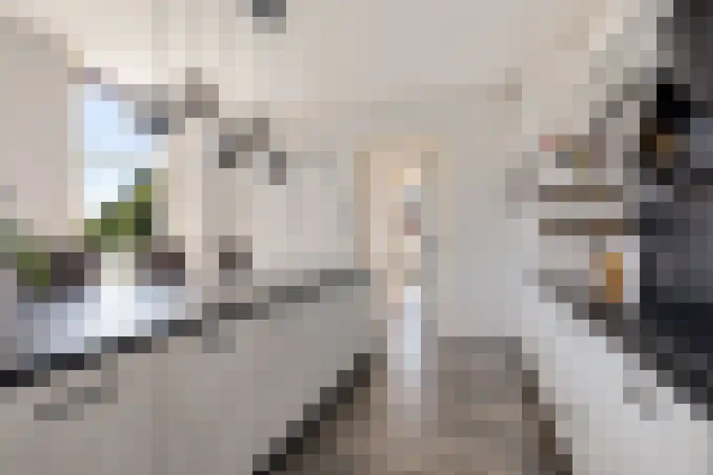Leeuwstraat 11 Uithuizen thumbnail 14