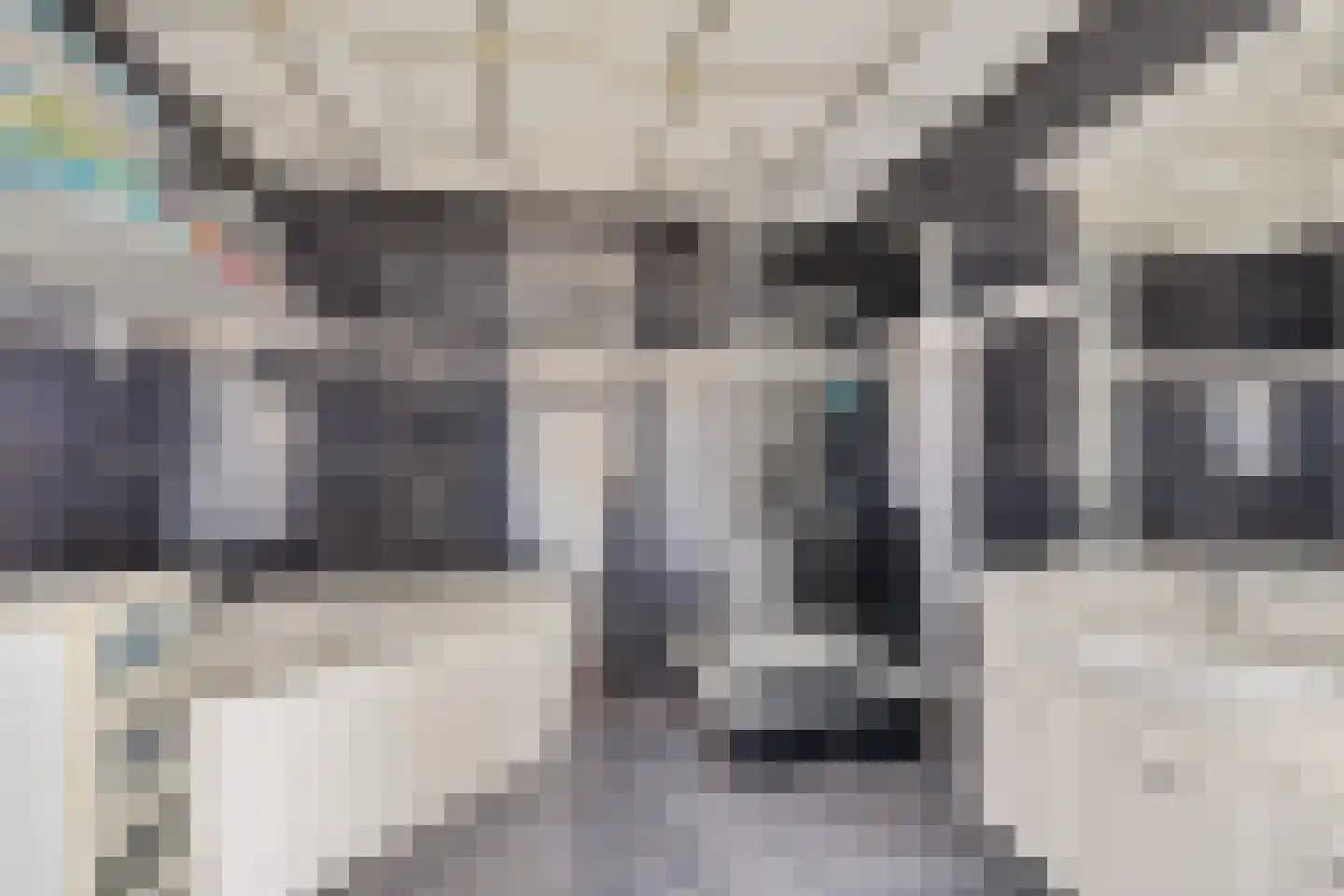 Leeuwstraat 11 Uithuizen thumbnail 18