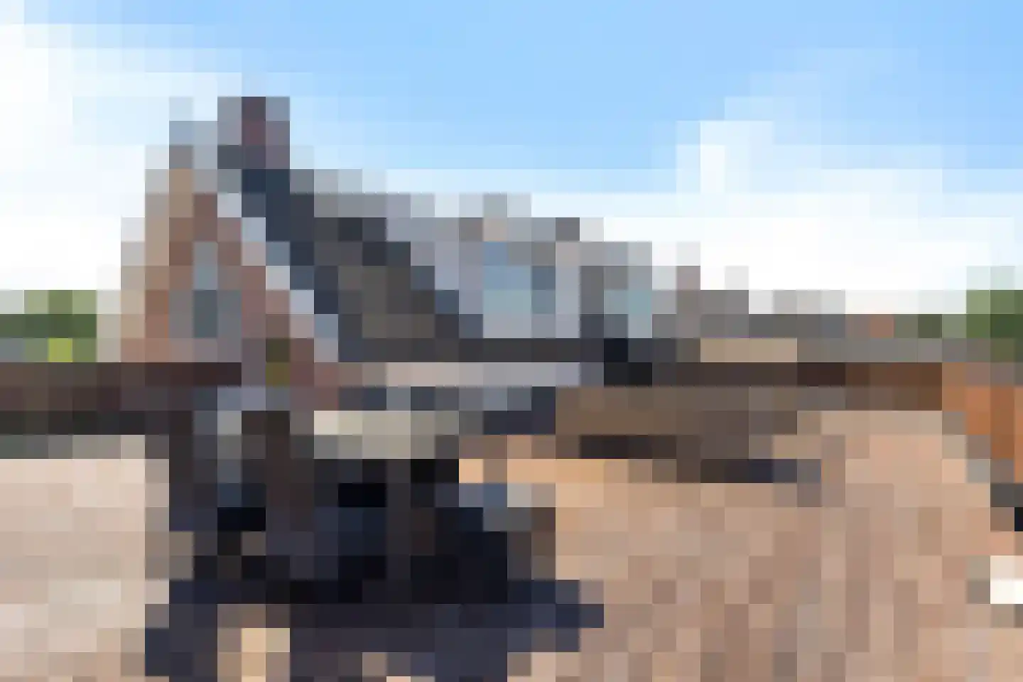Leeuwstraat 11 Uithuizen thumbnail 8