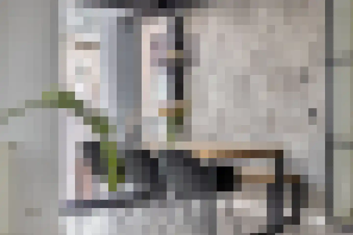Leeuwstraat 11 Venray thumbnail 12