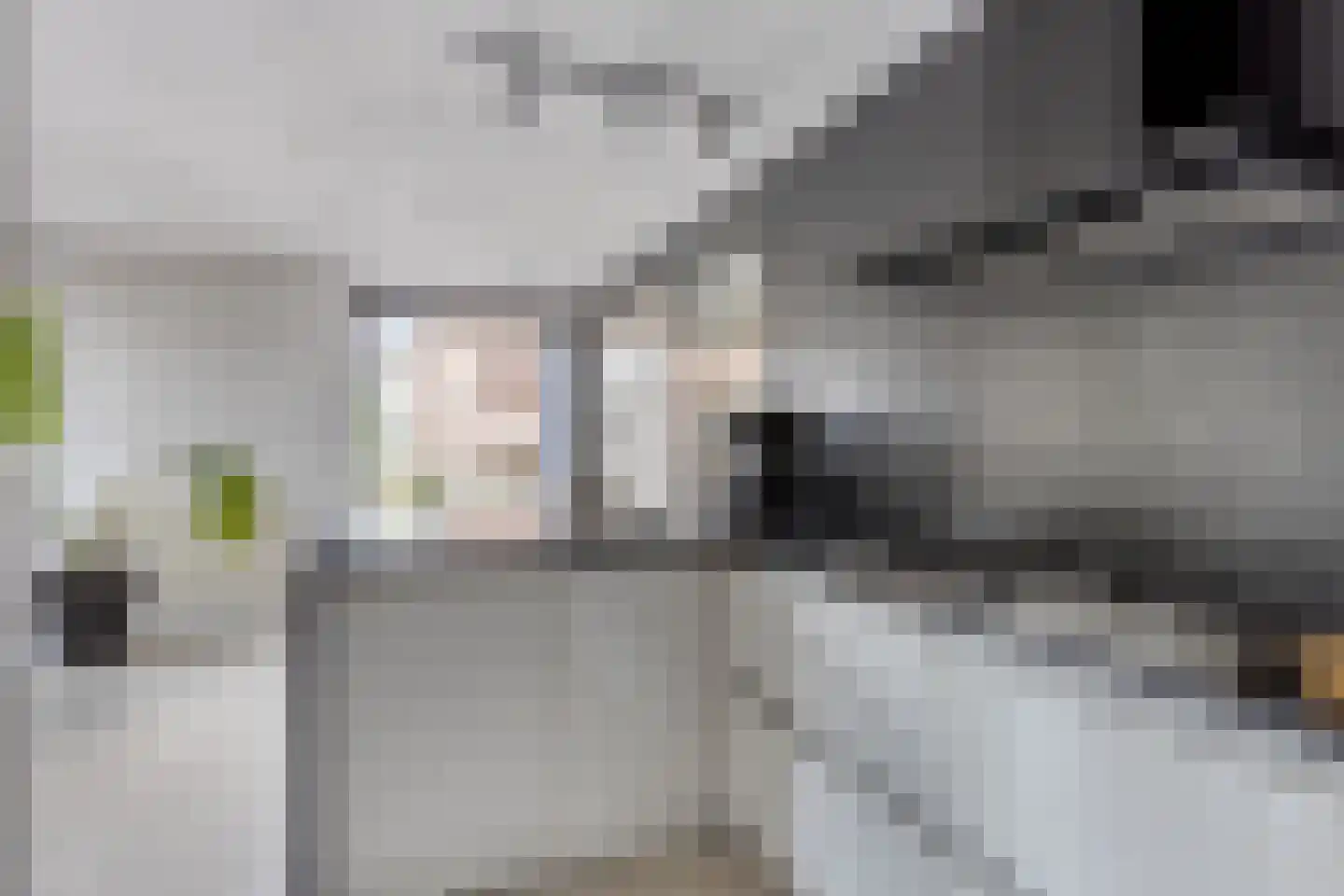 Leeuwstraat 11 Venray thumbnail 16