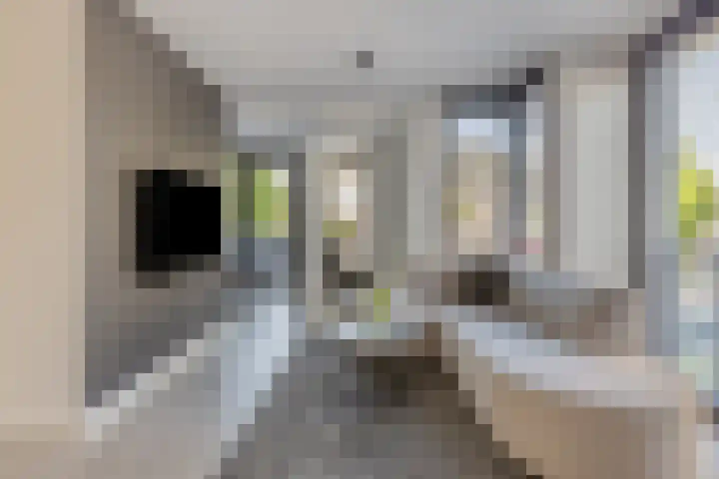 Leeuwstraat 11 Venray thumbnail 7