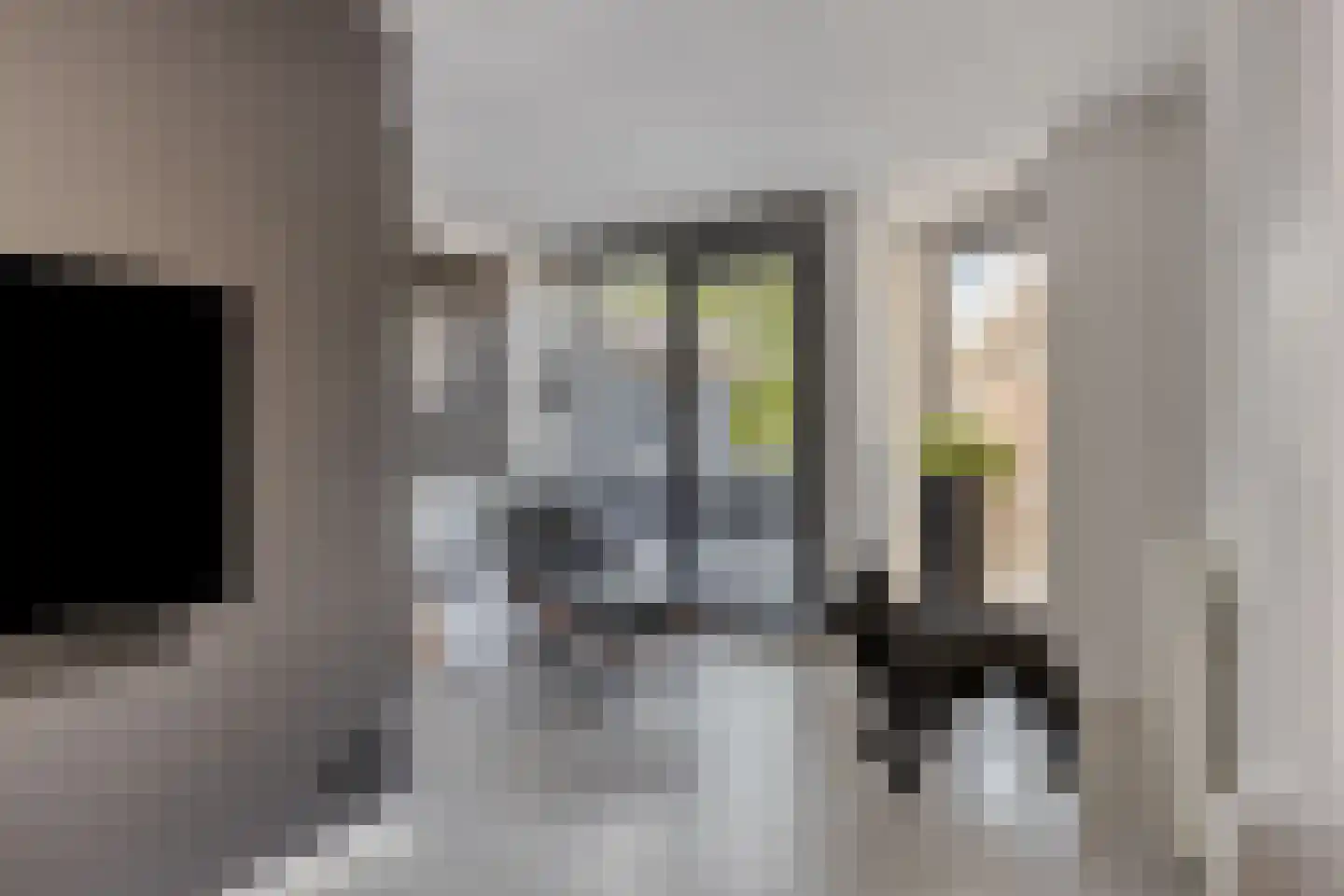 Leeuwstraat 11 Venray thumbnail 9