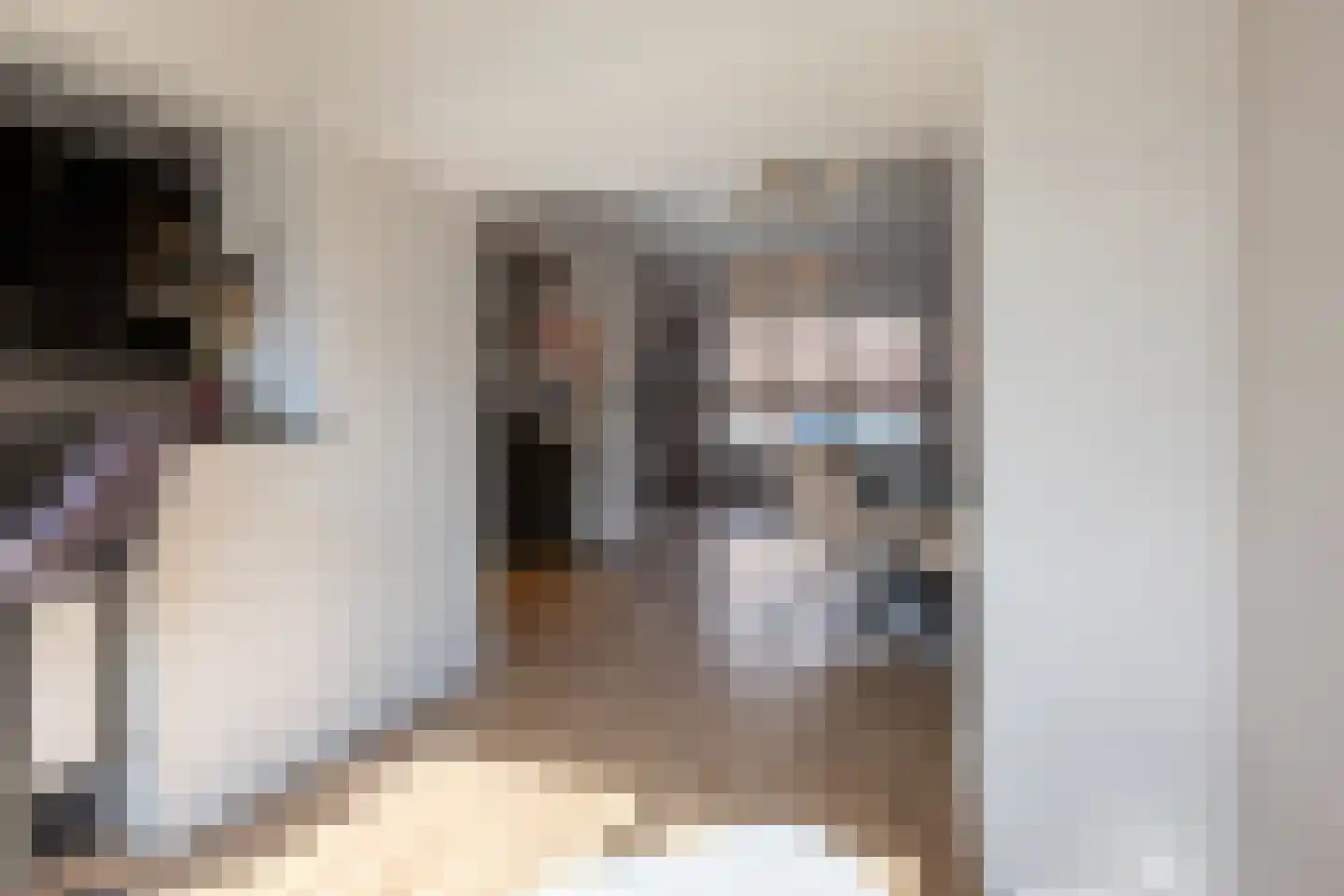 Leeuwstraat 12 Halsteren thumbnail 12