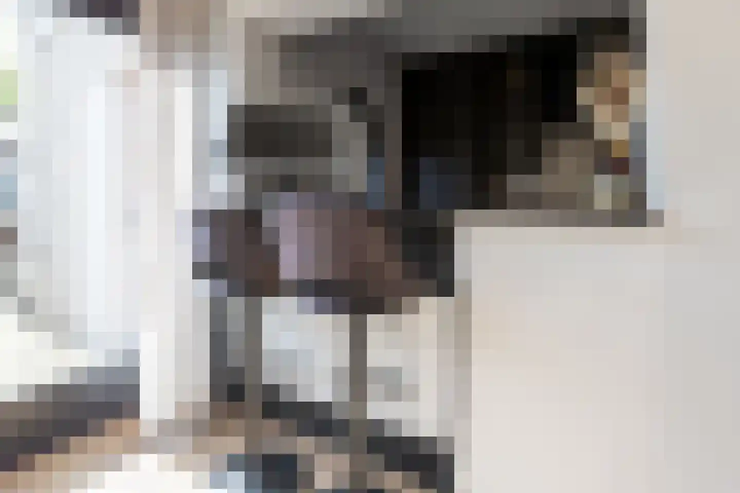 Leeuwstraat 12 Halsteren thumbnail 13