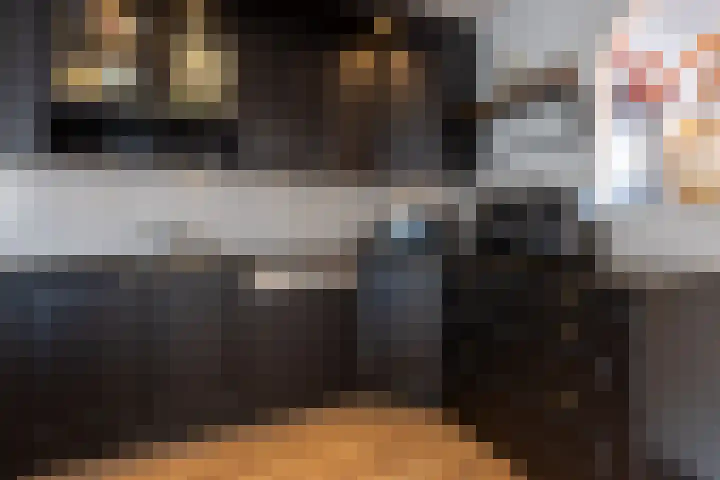 Leeuwstraat 12 Halsteren thumbnail 15