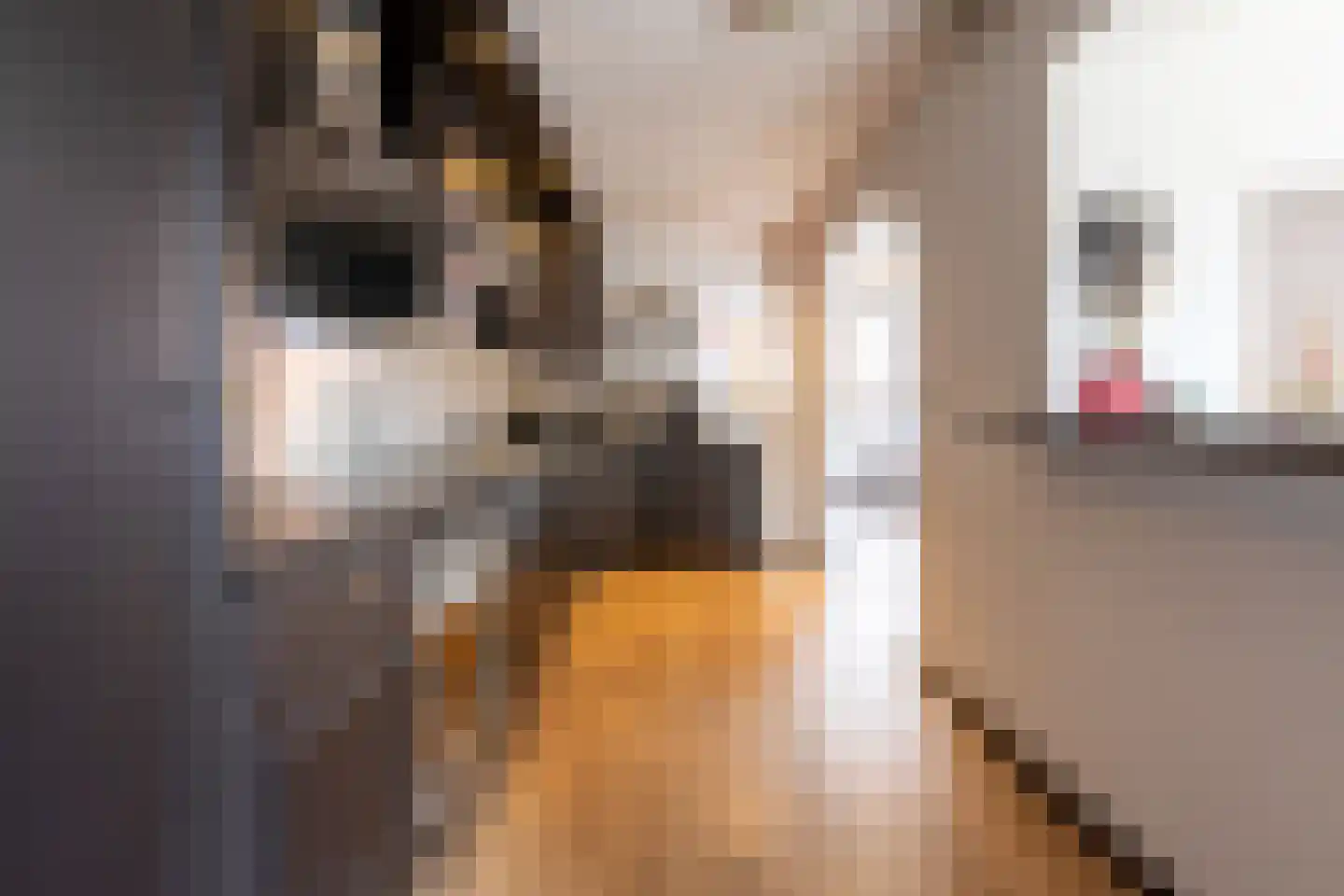 Leeuwstraat 12 Halsteren thumbnail 16