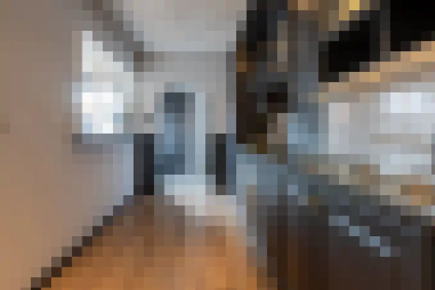 Leeuwstraat 12 Halsteren thumbnail 17