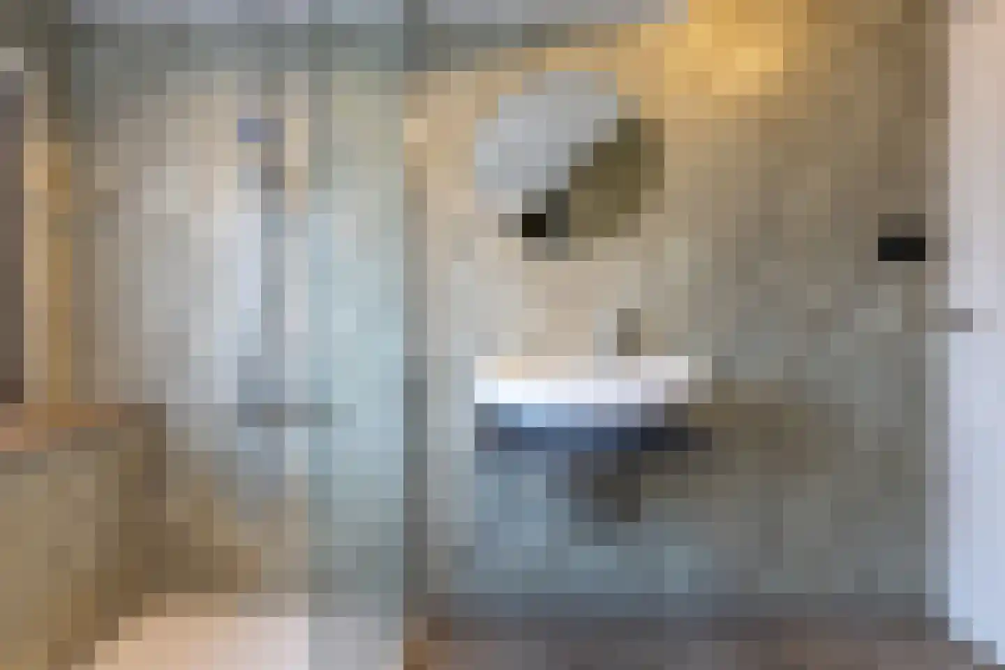 Leeuwstraat 12 Halsteren thumbnail 22