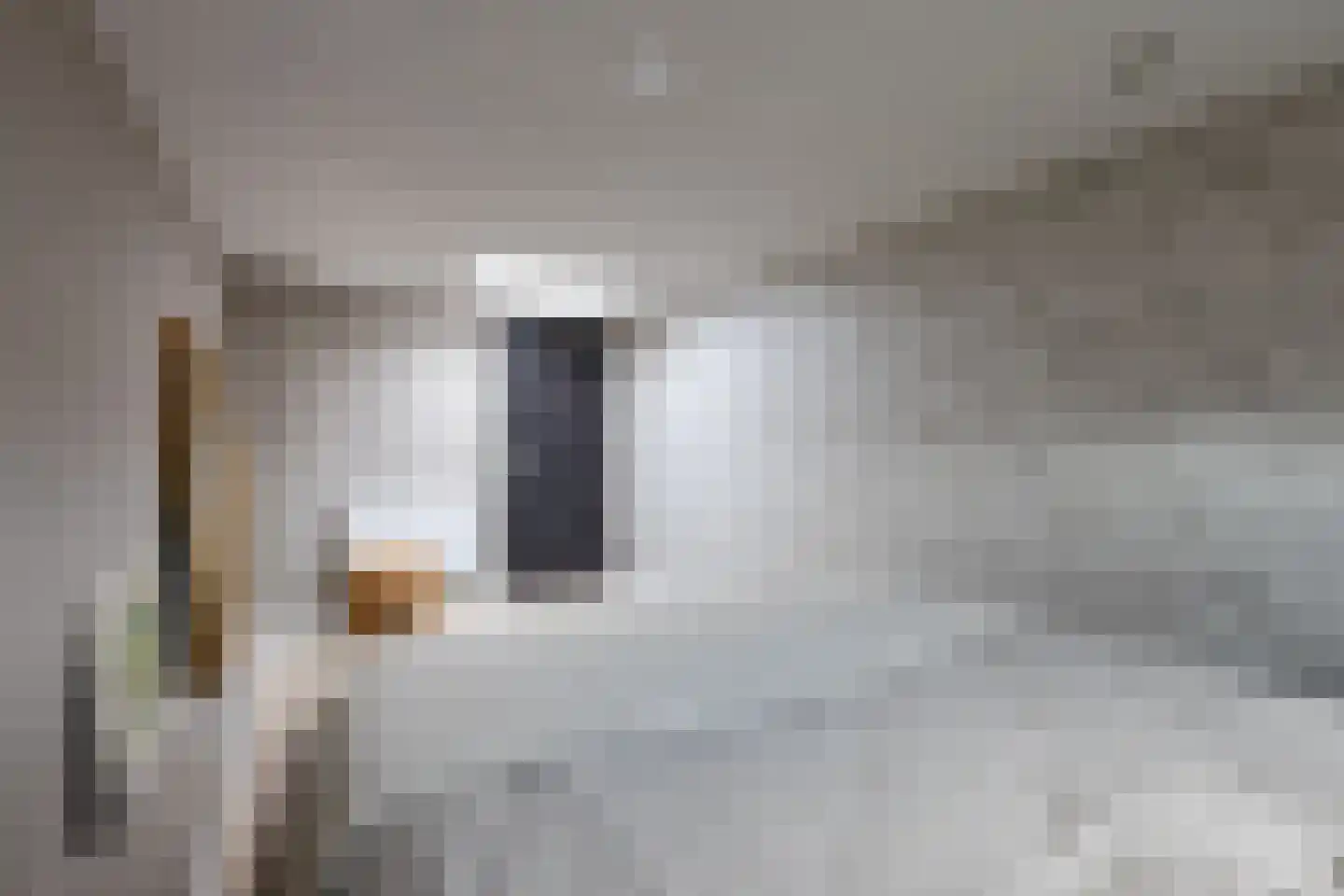 Leeuwstraat 12 Halsteren thumbnail 26