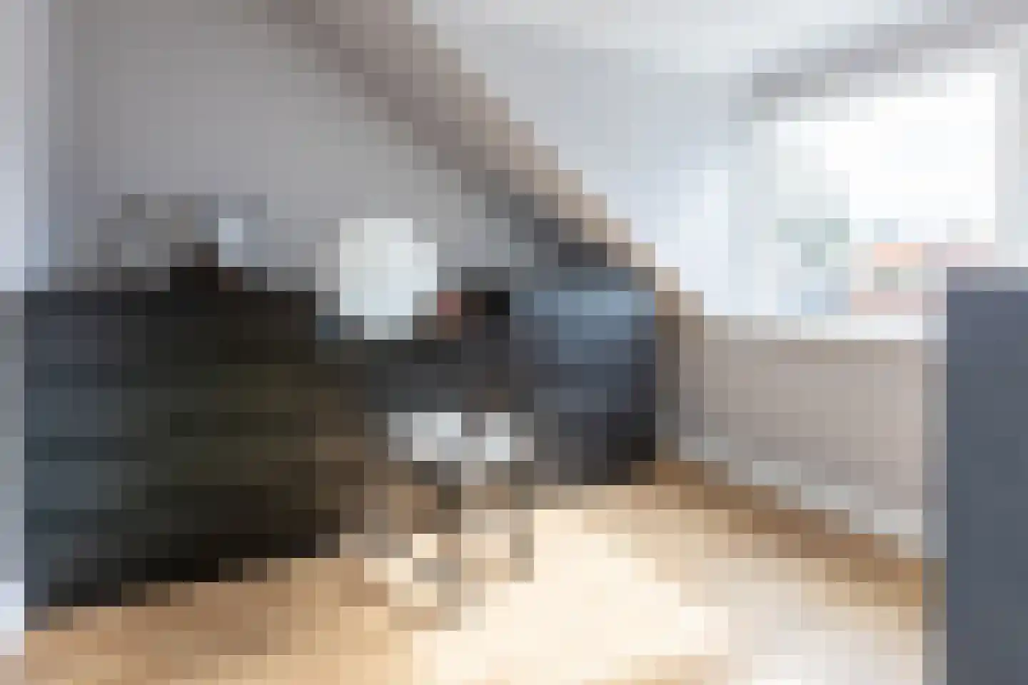 Leeuwstraat 12 Halsteren thumbnail 27