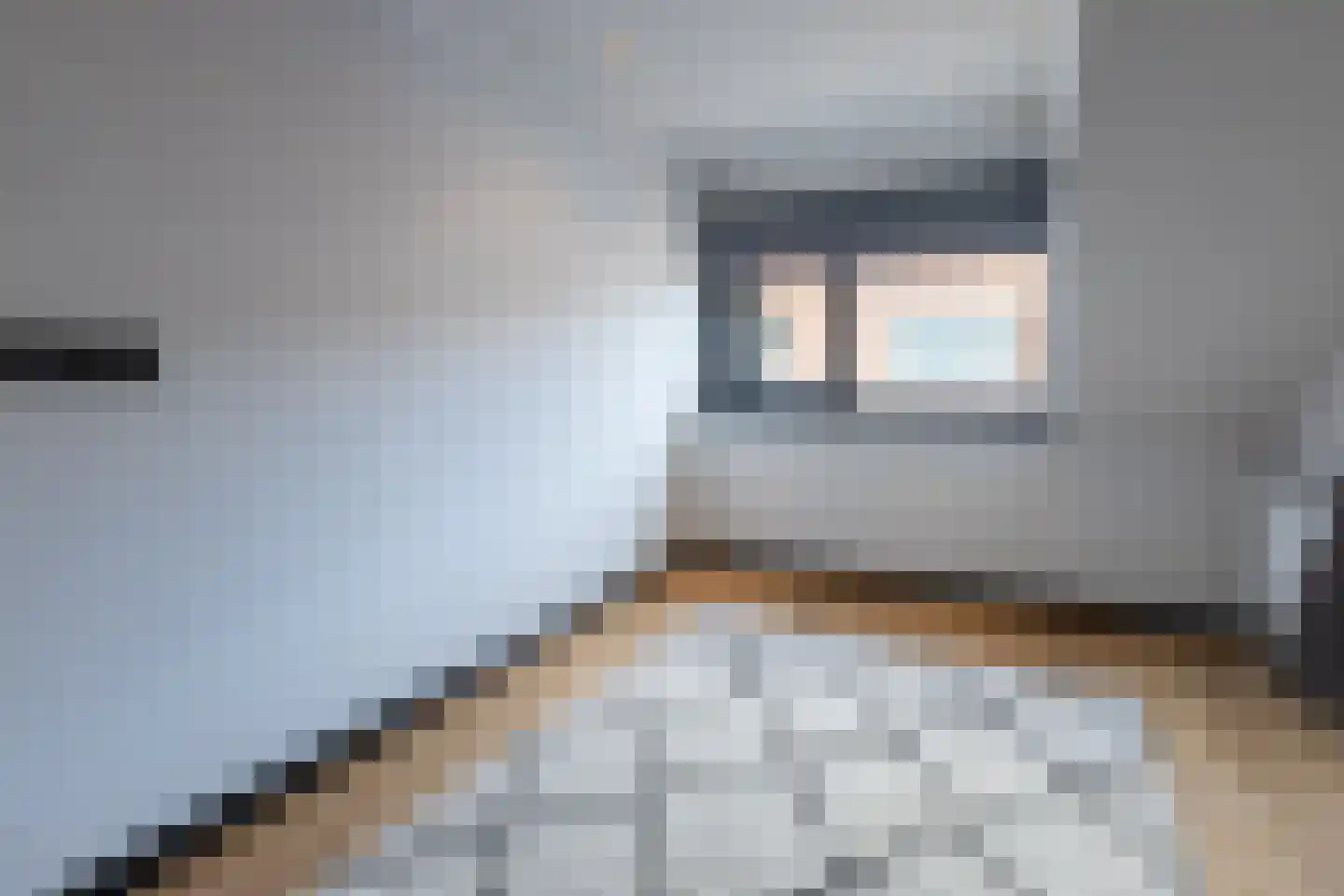Leeuwstraat 12 Halsteren thumbnail 29
