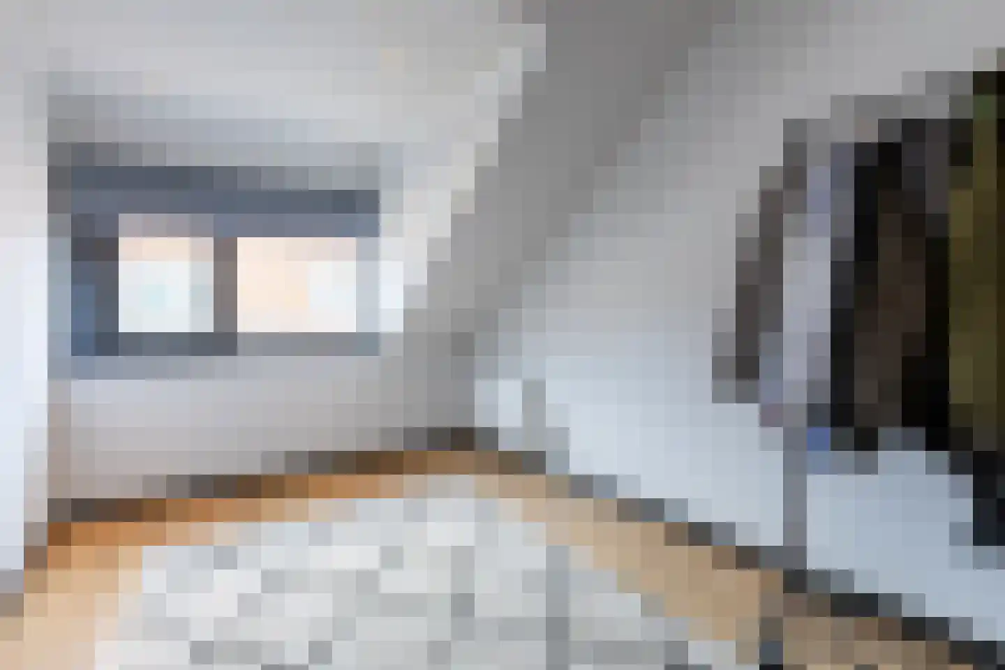 Leeuwstraat 12 Halsteren thumbnail 31