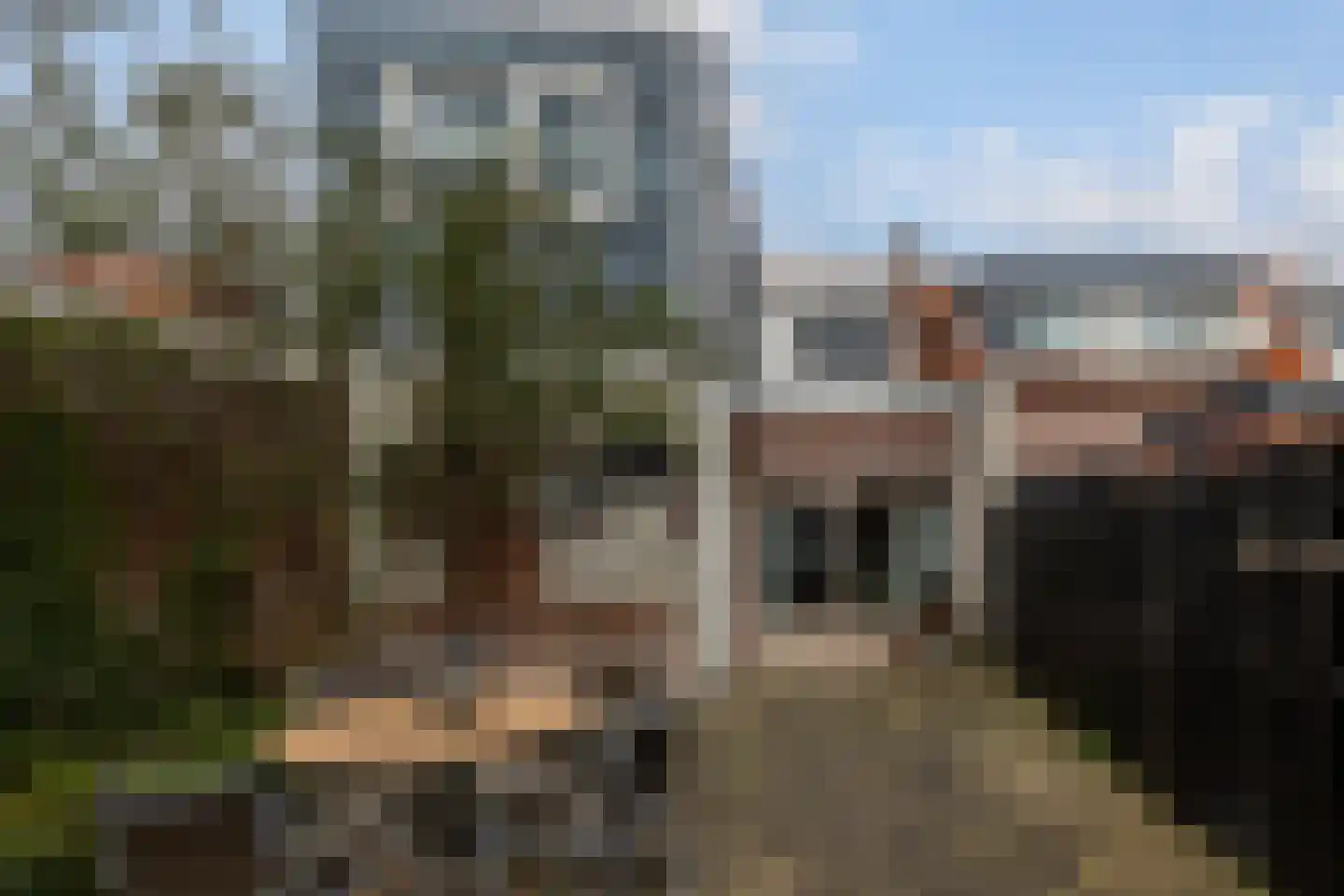 Leeuwstraat 12 Halsteren thumbnail 32