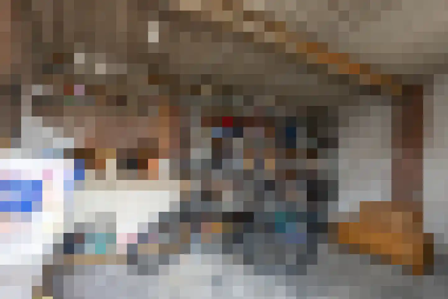 Leeuwstraat 12 Halsteren thumbnail 35