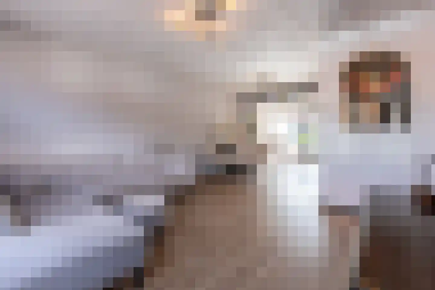 Leeuwstraat 12 Halsteren thumbnail 7
