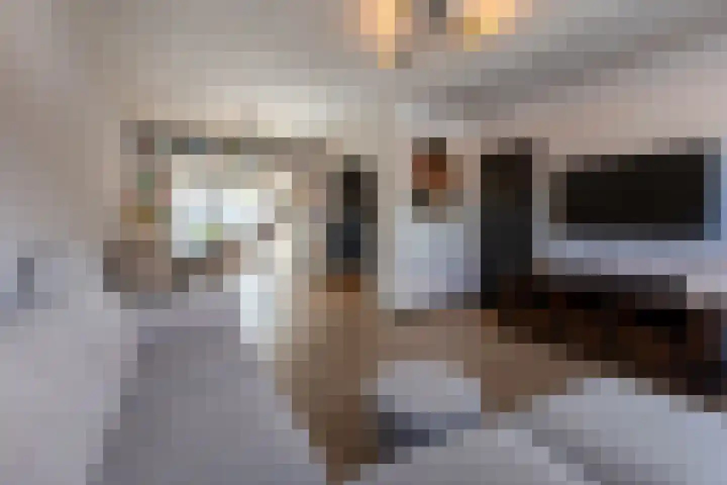 Leeuwstraat 12 Halsteren thumbnail 8