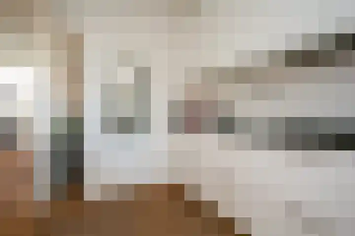 Leeuwstraat 18 Halsteren thumbnail 10