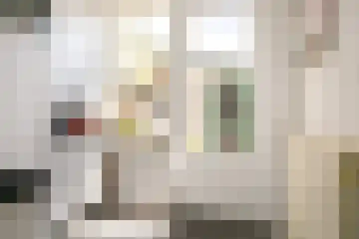 Leeuwstraat 18 Halsteren thumbnail 12