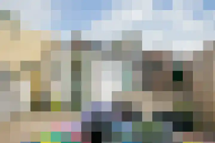 Leeuwstraat 18 Halsteren thumbnail 13