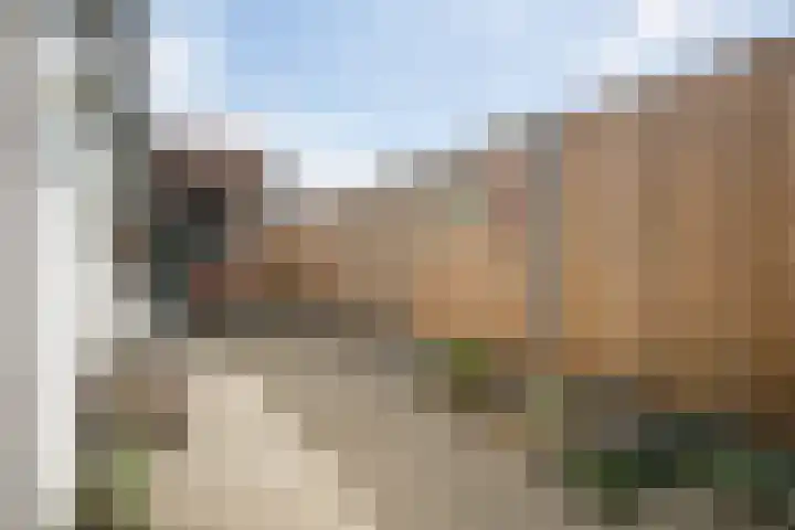 Leeuwstraat 18 Halsteren thumbnail 14